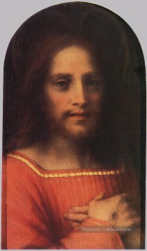 Christ Rédempteur renaissance maniérisme Andrea del Sarto Peinture à l'huile
